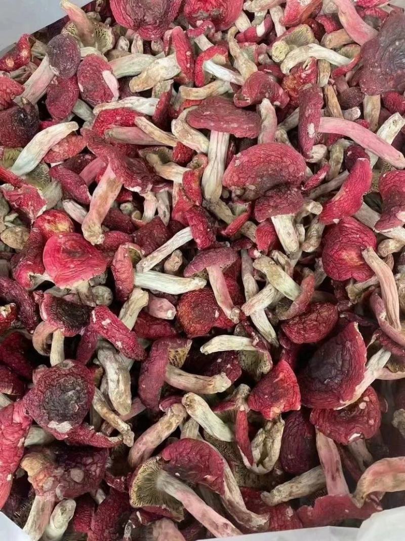 【云南野生红菇】云南野生小红菇丁菇红蘑菇当季新货包邮