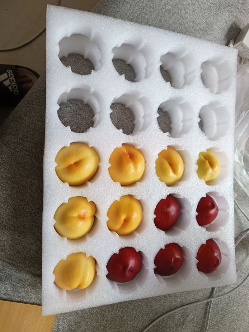 珍珠棉