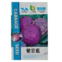 新品紫甘蓝菜种子紫卷心菜包心菜籽种红甘兰包菜菜种秋冬农家