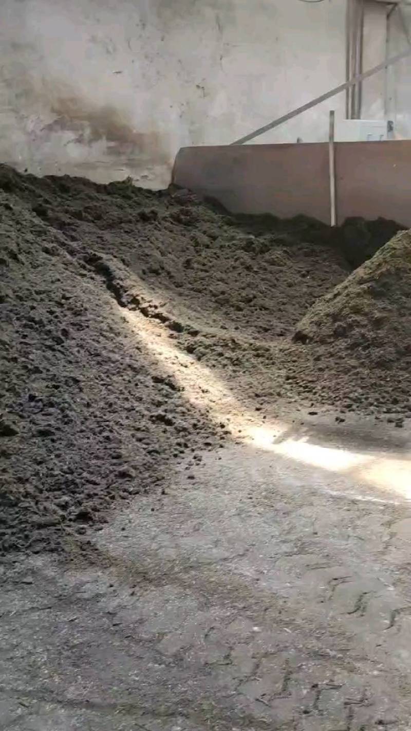 烘干甜叶菊渣，厂家副产品直销