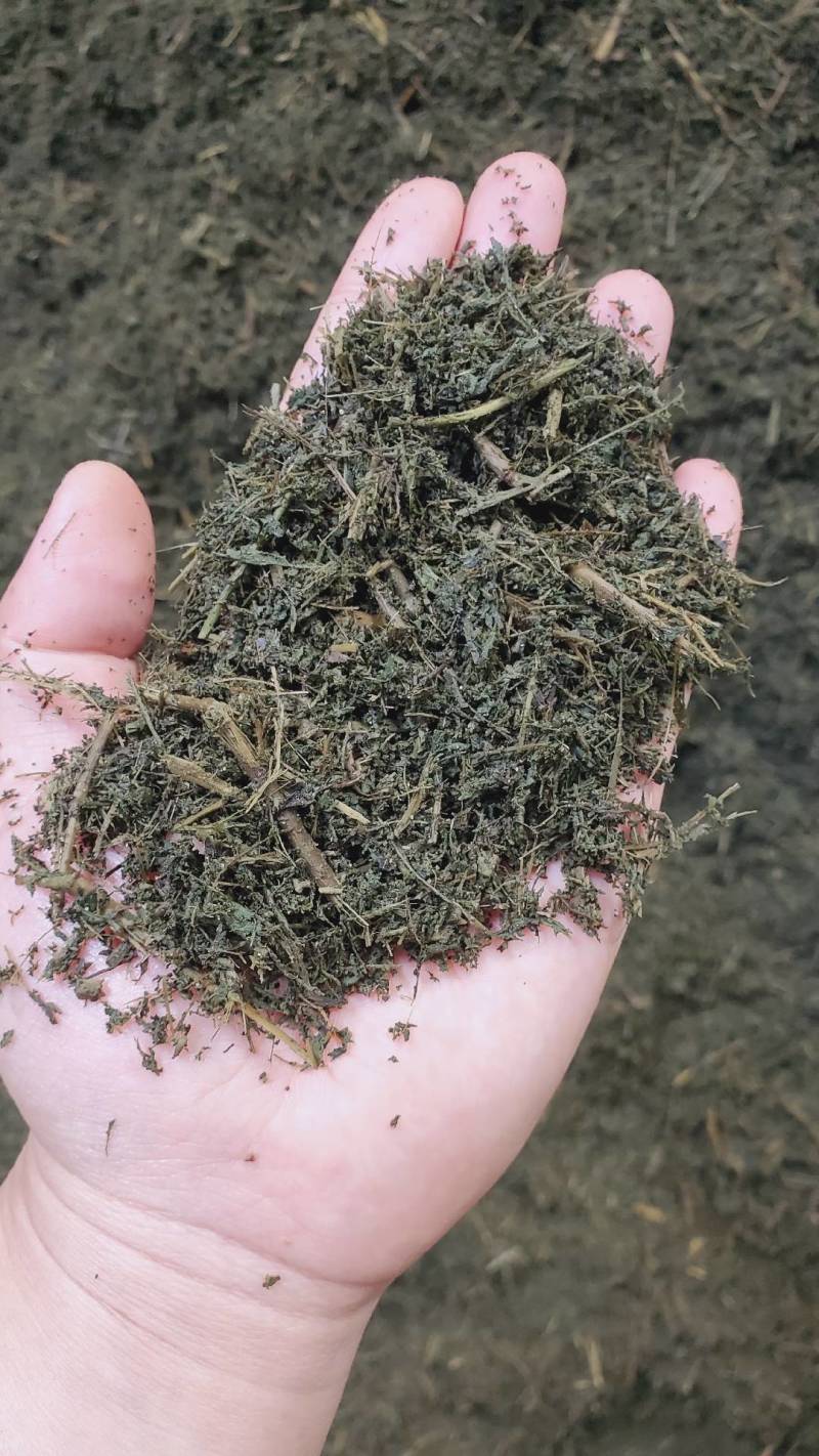 烘干甜叶菊渣，厂家副产品直销
