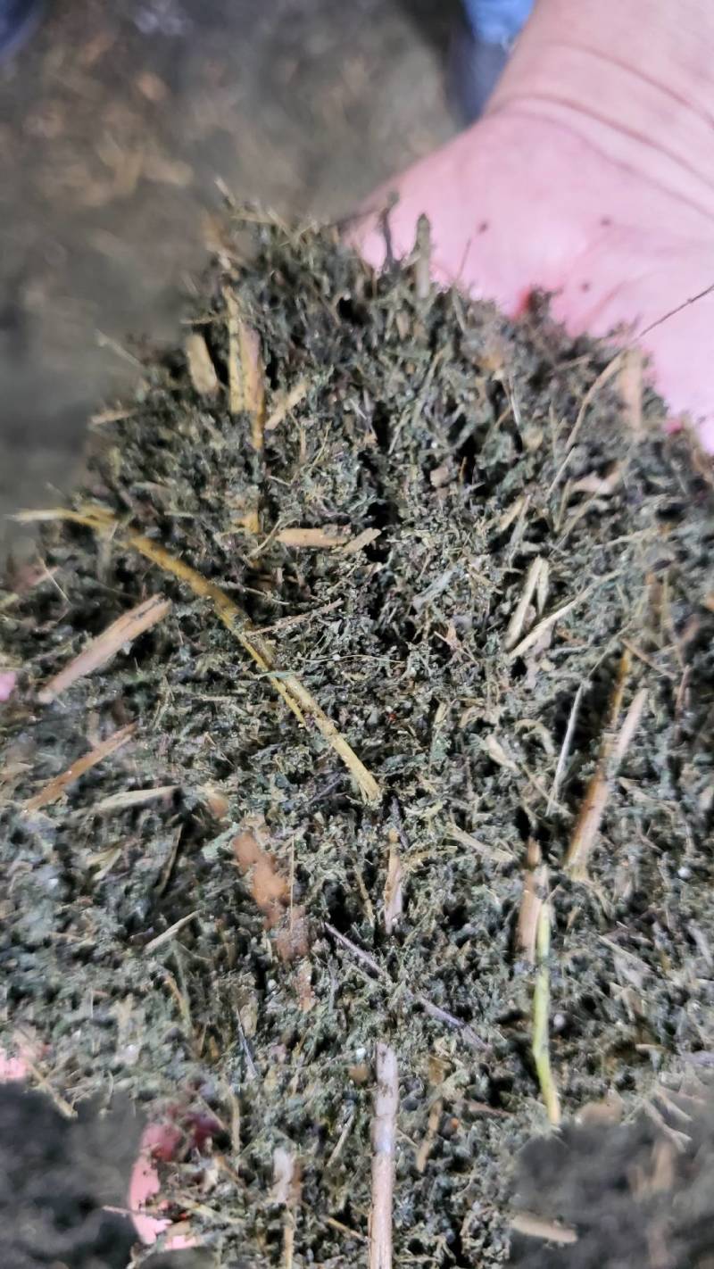 烘干甜叶菊渣，厂家副产品直销