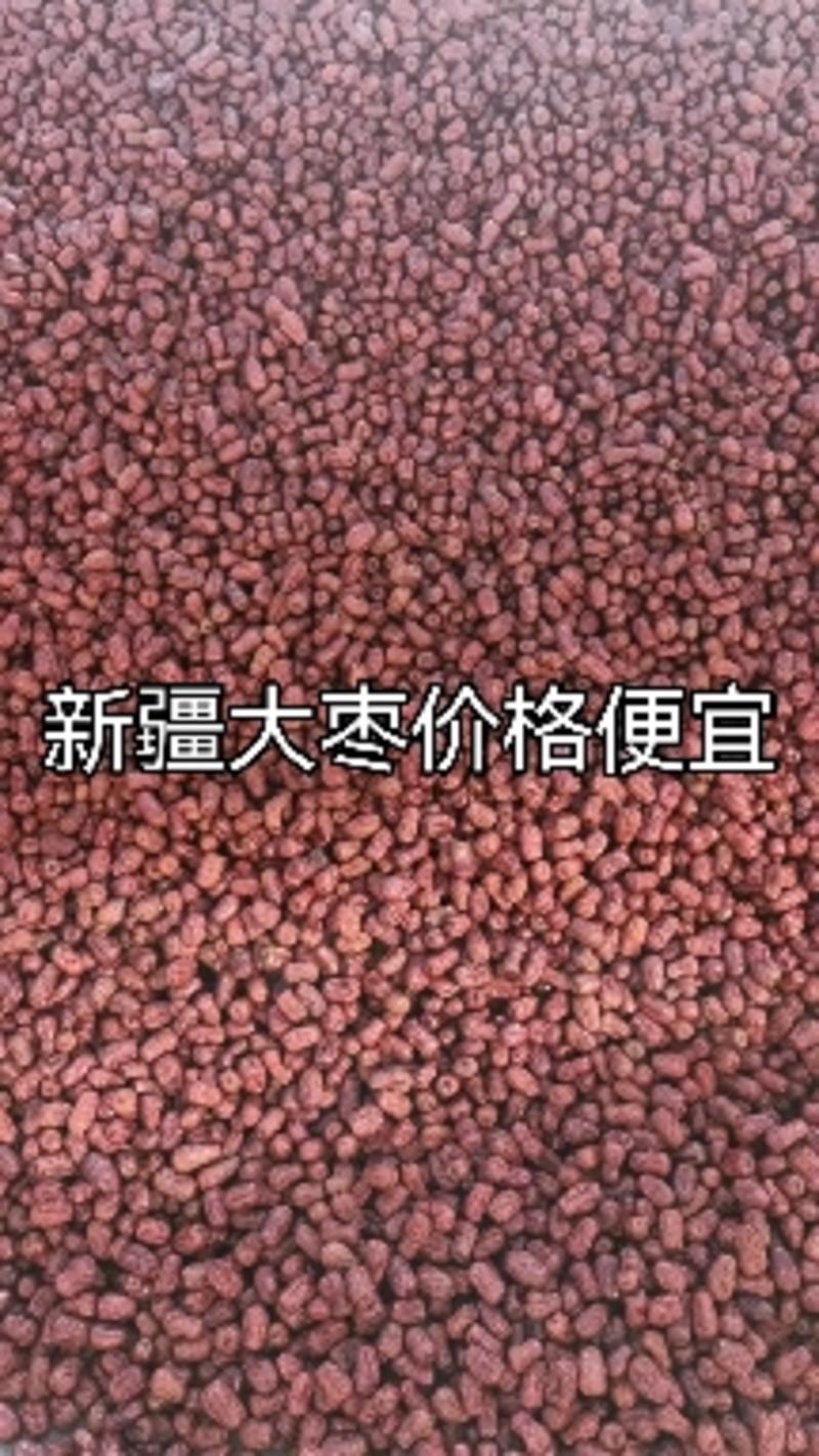 新疆皮皮枣大量出售啦，不容错过的好品质，物美价廉