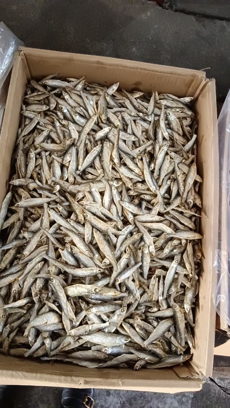 批发精品刁子鱼干白条鱼干河鱼一手货源招代理