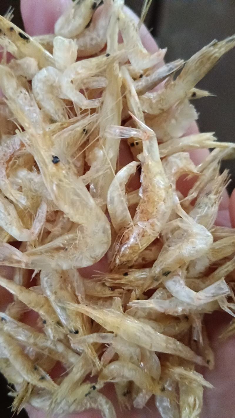 批发精品刁子鱼干白条鱼干河鱼一手货源招代理