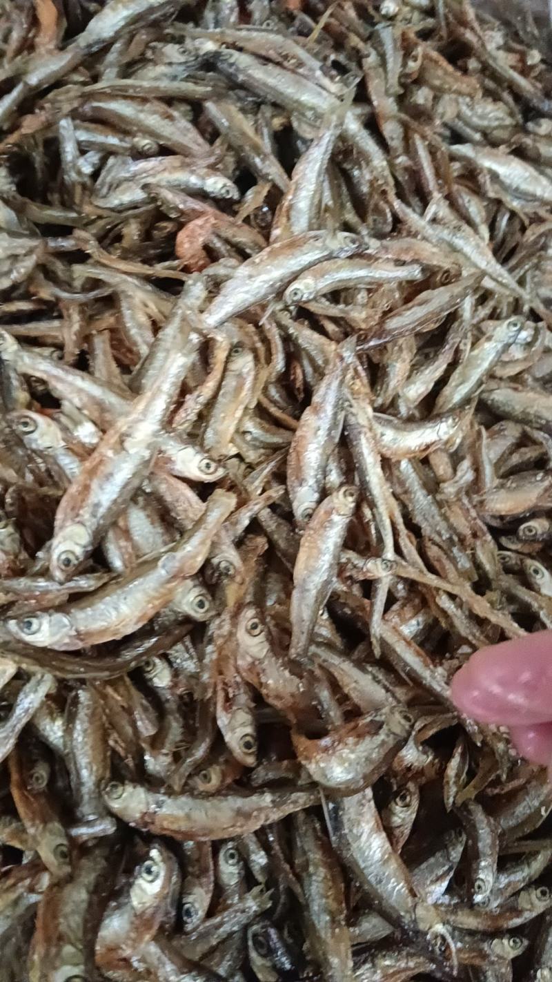 批发精品刁子鱼干白条鱼干河鱼一手货源招代理