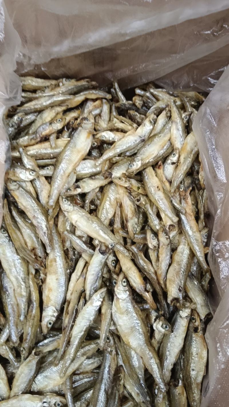 批发精品刁子鱼干白条鱼干河鱼一手货源招代理