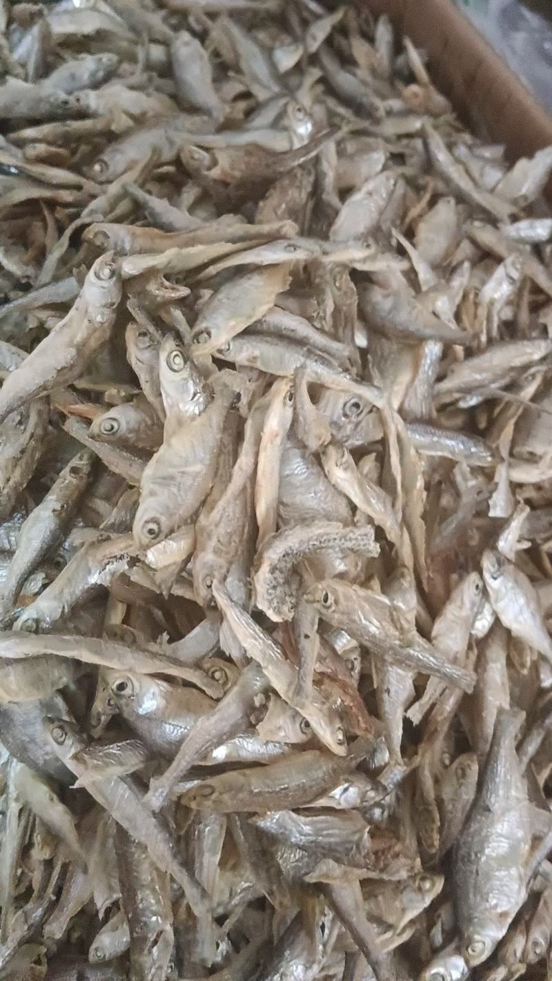 批发精品刁子鱼干白条鱼干河鱼一手货源招代理