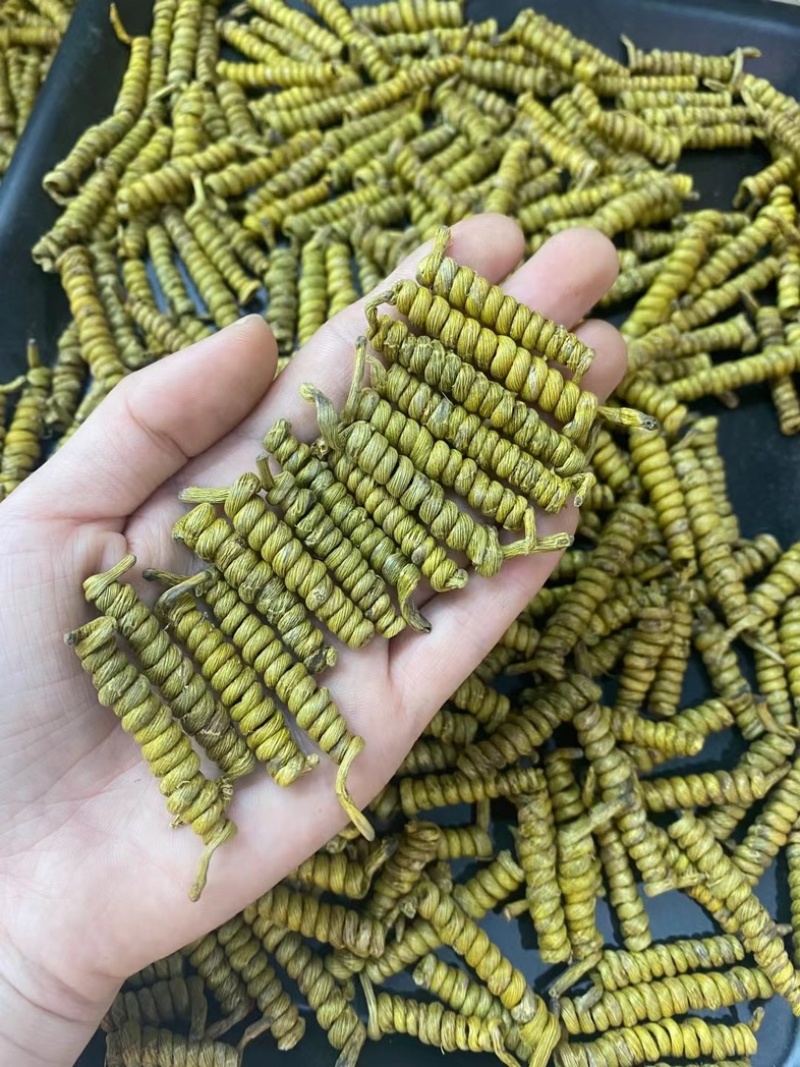 一手货霍山铁皮石斛龙头凤尾-各种大小规格都有-适合装礼盒