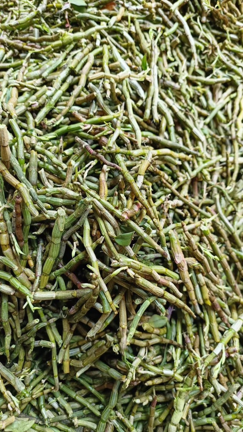 一手货霍山铁皮石斛龙头凤尾-各种大小规格都有-适合装礼盒