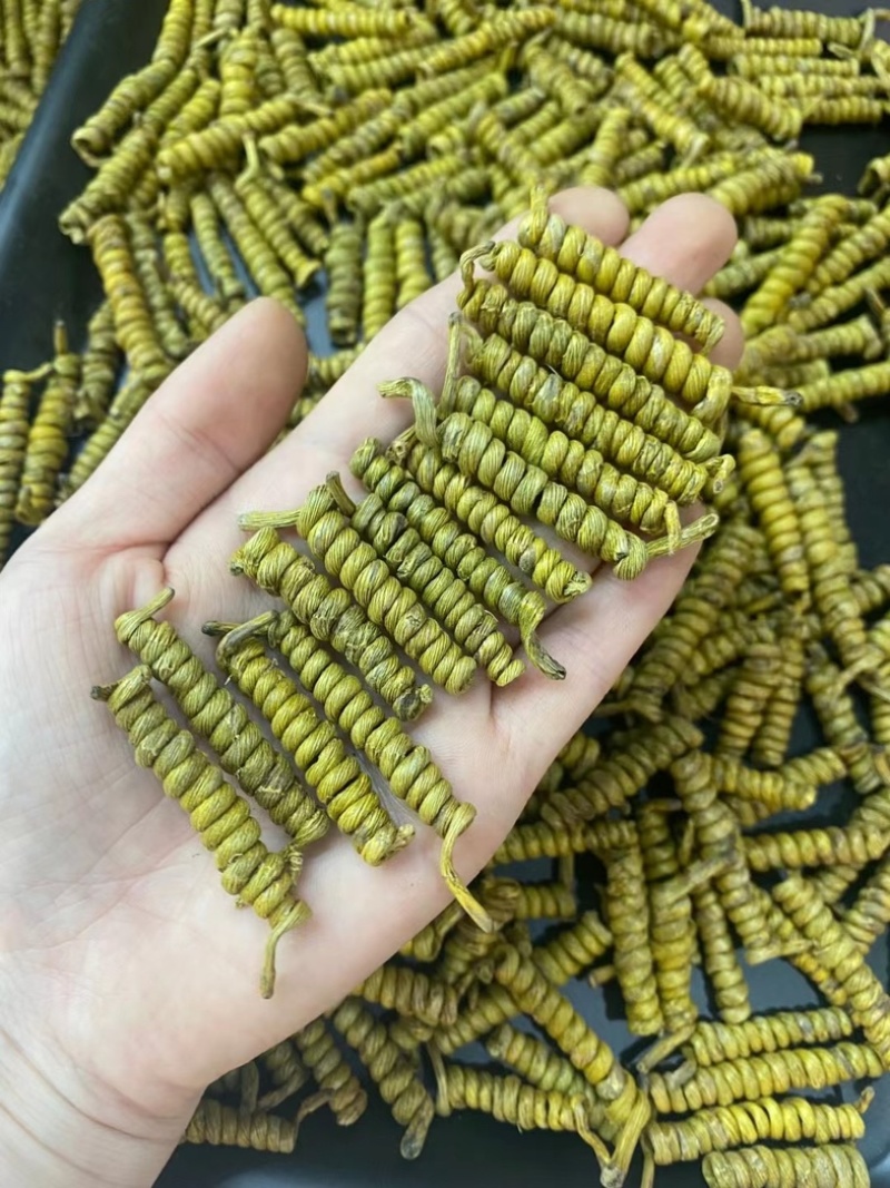 一手货霍山铁皮石斛龙头凤尾-各种大小规格都有-适合装礼盒