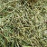 一手货霍山铁皮石斛龙头凤尾-各种大小规格都有-适合装礼盒
