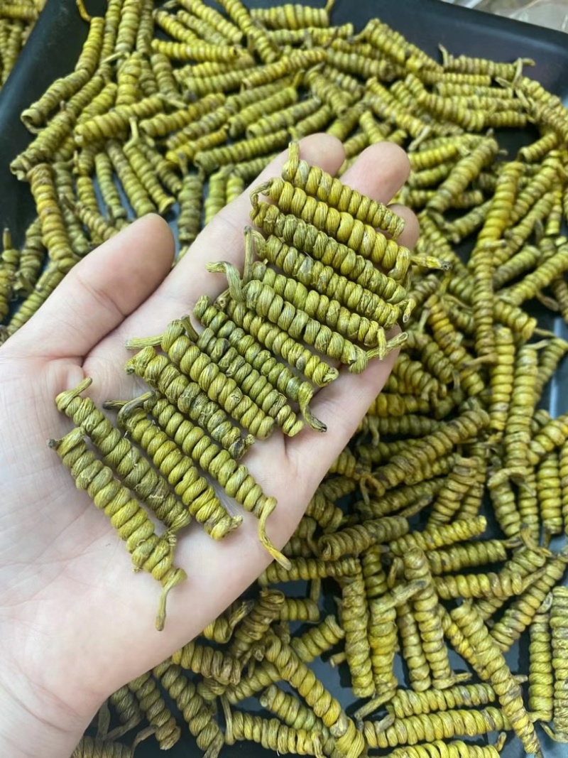 一手货霍山铁皮石斛龙头凤尾-各种大小规格都有-适合装礼盒