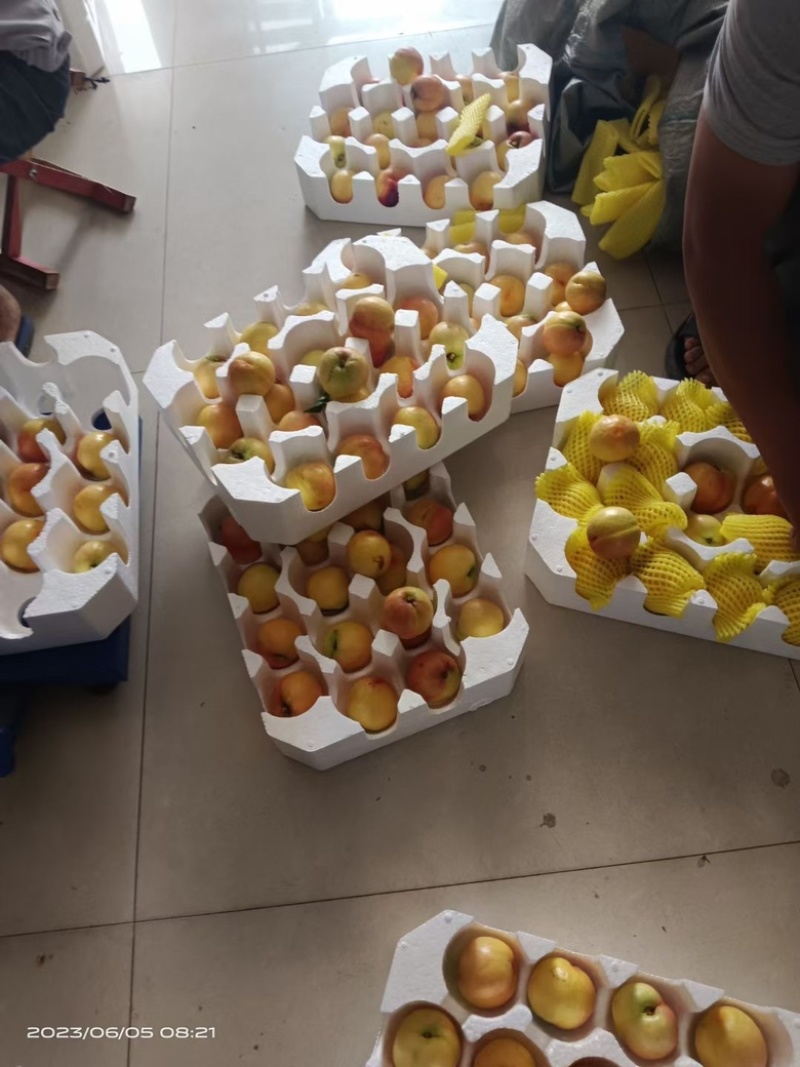 山东蒙阴水蜜桃油桃蟠桃油蟠桃专业一件代发全国批发市场供应
