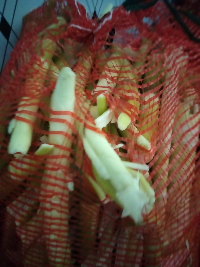 赤竹竹笋质量好价格便宜规格齐全欢迎咨询