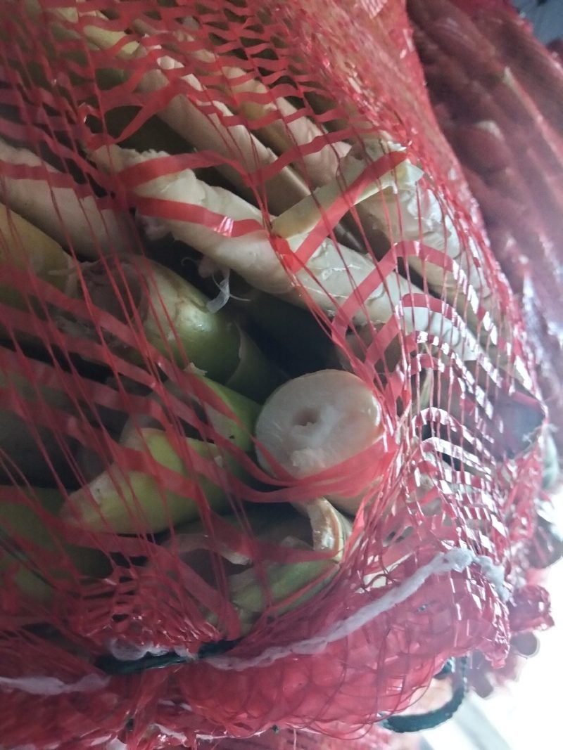 赤竹竹笋质量好价格便宜规格齐全欢迎咨询