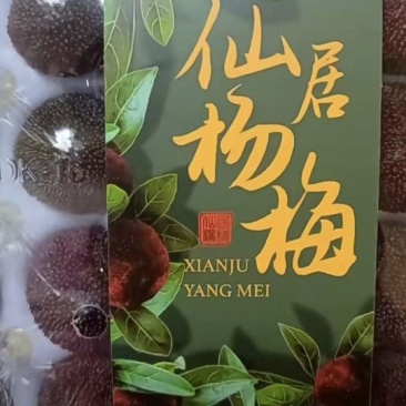正品东愧杨梅15天后上市