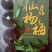 正品东愧杨梅15天后上市