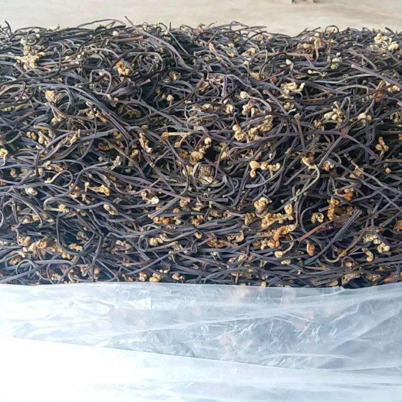 农副产品农副干货干菜蕨菜干