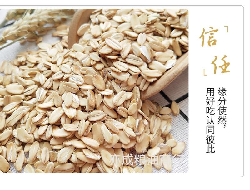 燕麦片批发生燕麦米压片粗粮燕麦新货大颗粒麦片