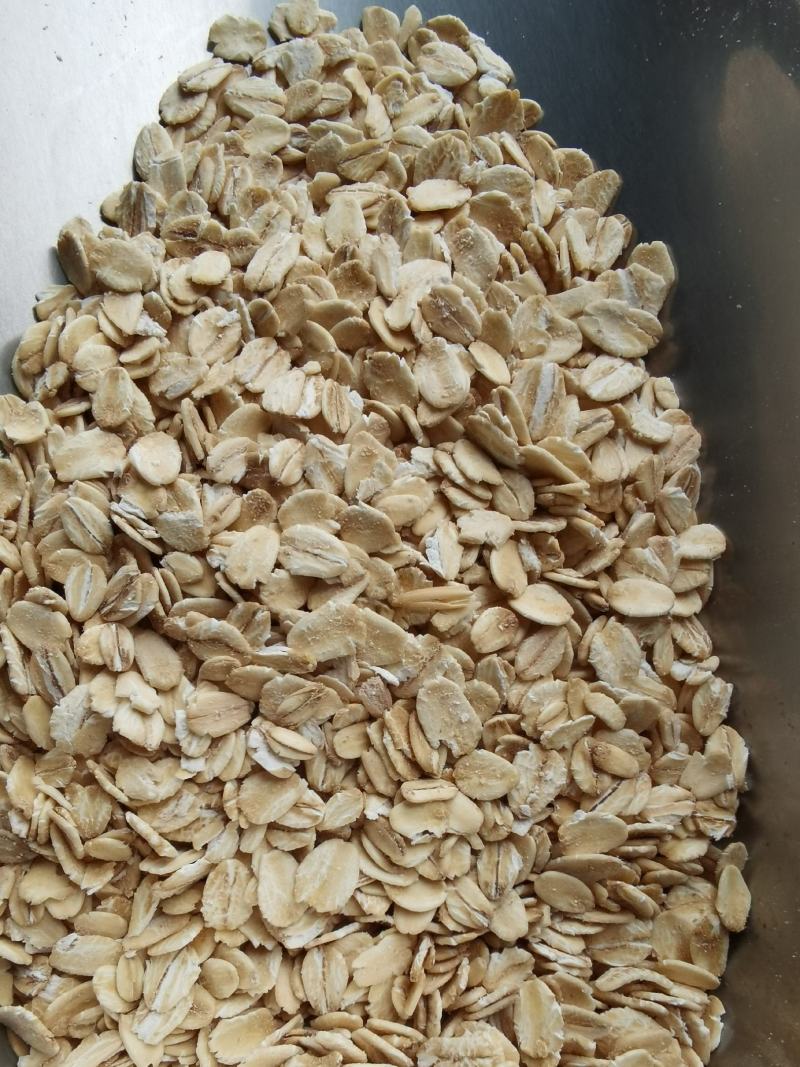 燕麦片批发生燕麦米压片粗粮燕麦新货大颗粒麦片
