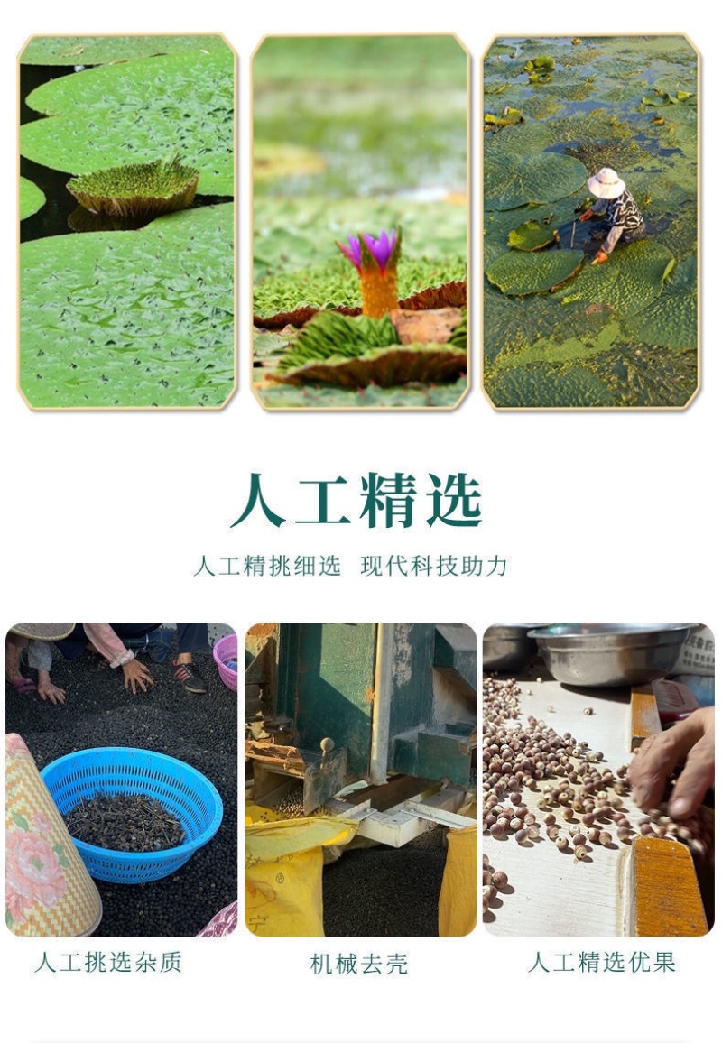 芡实米鸡头米