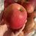 辽宁精品红富士苹果产地一手货源量大从优质量保证