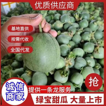 山东甜瓜精品绿宝甜瓜，大量上市，货源充足产地直发量大从优
