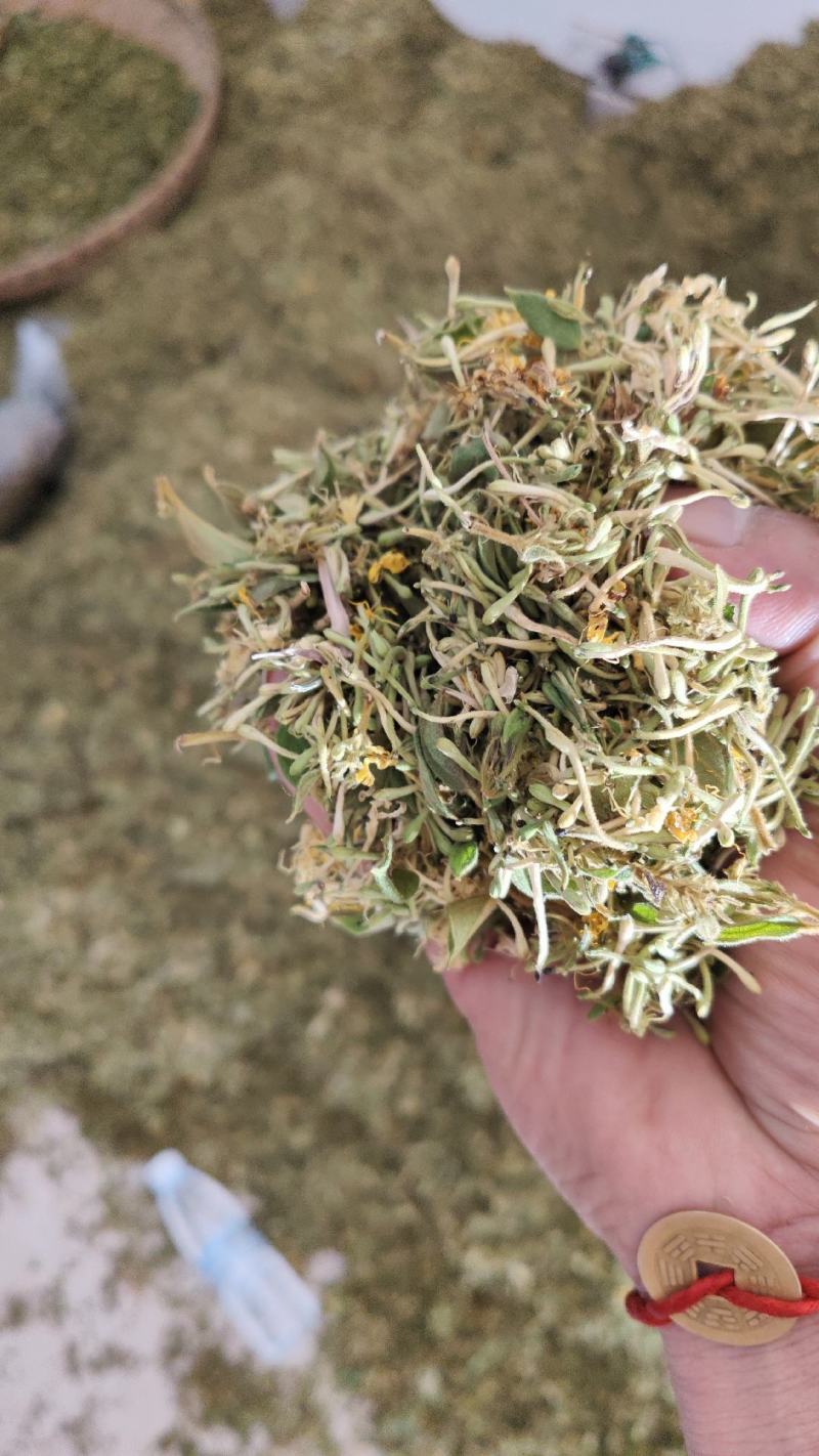 贵州省安龙县正宗纯野生金银花无硫自然晒干大开花