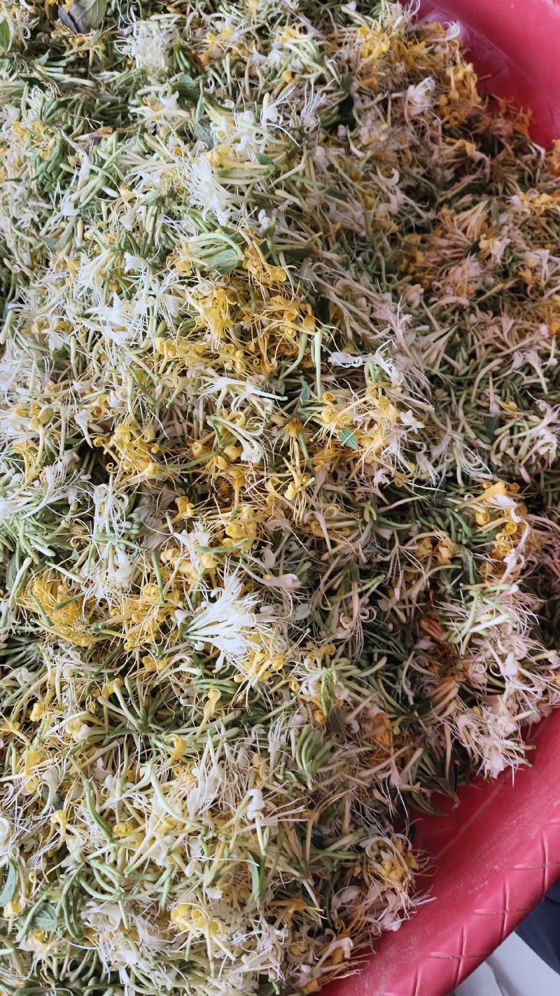 贵州省安龙县正宗纯野生金银花无硫自然晒干大开花
