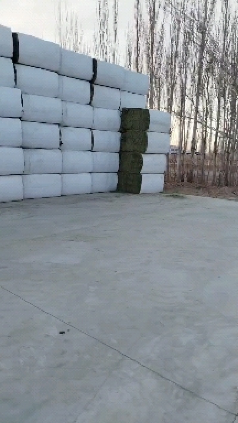 套袖苜蓿草甘肃玉门紫花苜蓿草加密包大捆