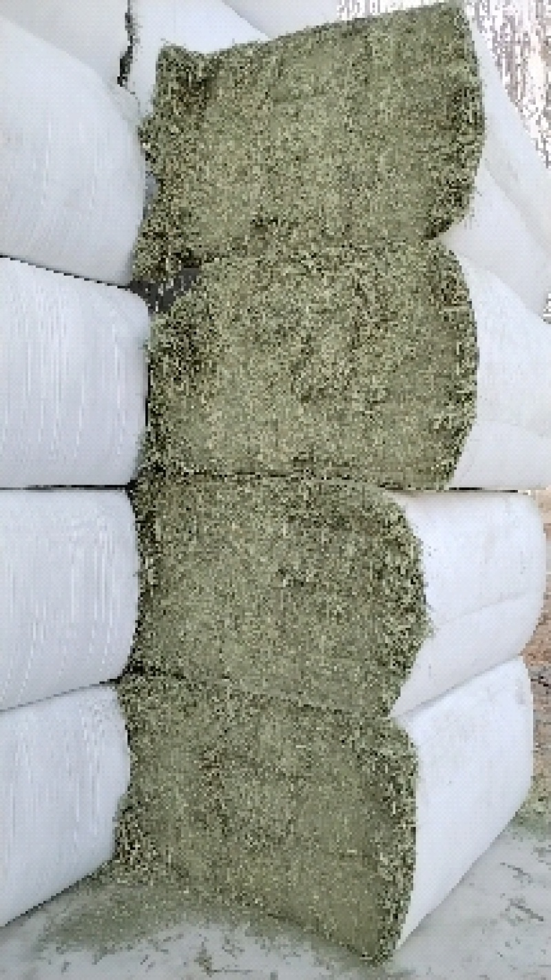 套袖苜蓿草甘肃玉门紫花苜蓿草加密包大捆