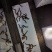 随州胜隆蜈蚣养殖场，提供蜈蚣种源及设备，教养殖技术！