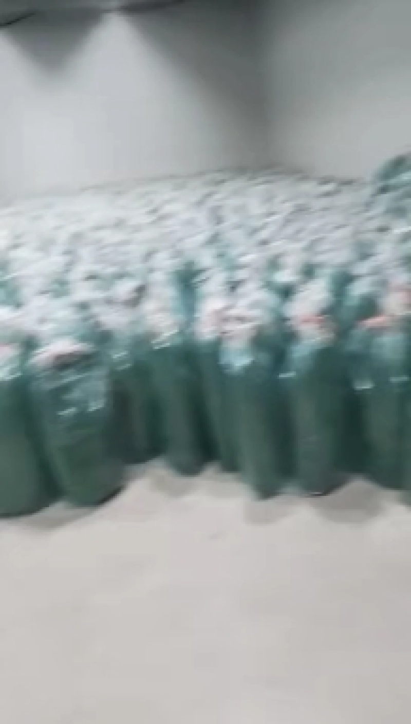 安徽芦苇叶，质量嘎嘎滴，量大充足，宽长软无虫。诚信经营