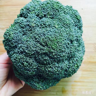 辽宁凌海西蓝花大量上市，欢迎各地老板前来采购