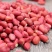 新5斤红皮花生米农家四粒红大粒原味新鲜五谷杂粮精