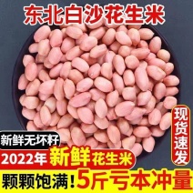 汾都香5斤东北新粉皮花生农家白沙花生米五谷杂粮原味新鲜花