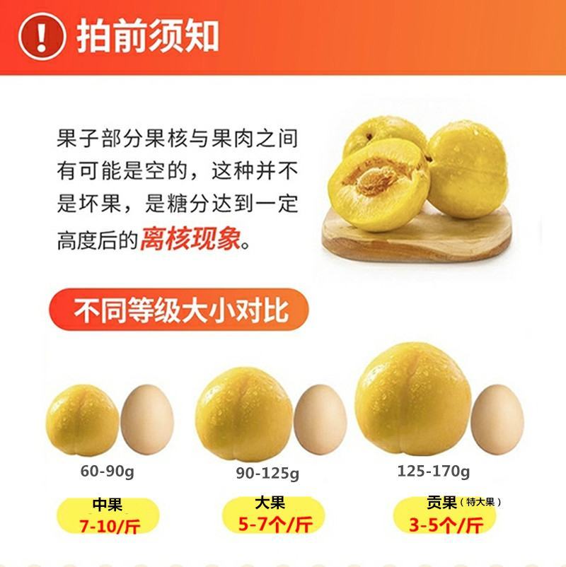 湖南汝城文明黄金奈李子非九峰山新鲜孕妇水果脆甜特产一件代