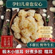 小银耳天然椴木银耳干货无硫磺白木耳野生正宗雪耳糯耳软