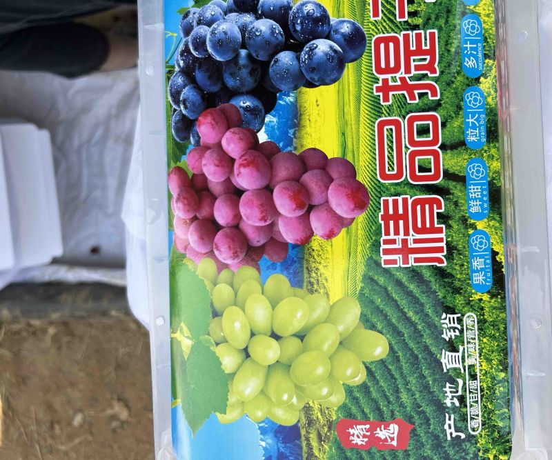 玻璃脆