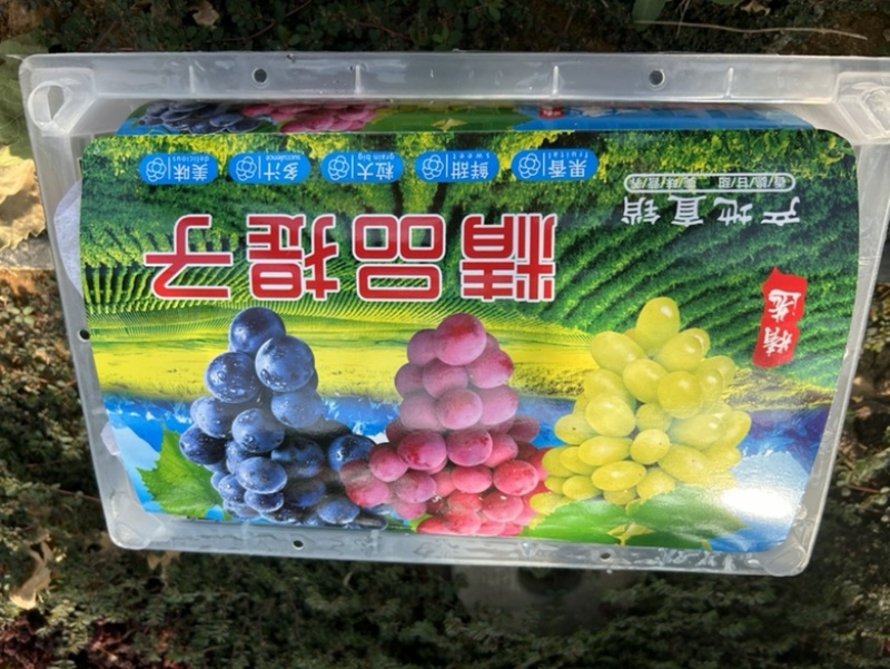 玻璃脆