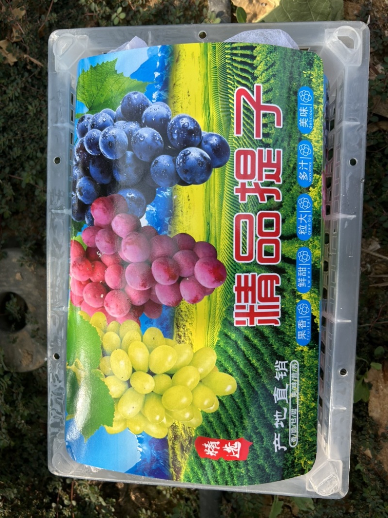 玻璃脆