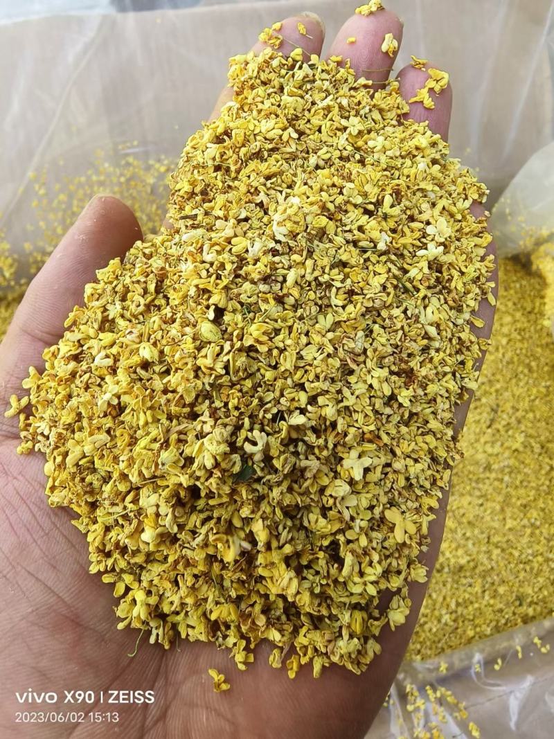 桂花脱水精选桂花干货