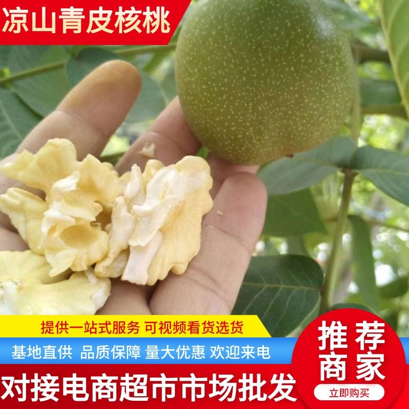 核桃鲜核桃青皮核桃山地核桃产地代办大量上市