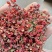 各种档次花椒
