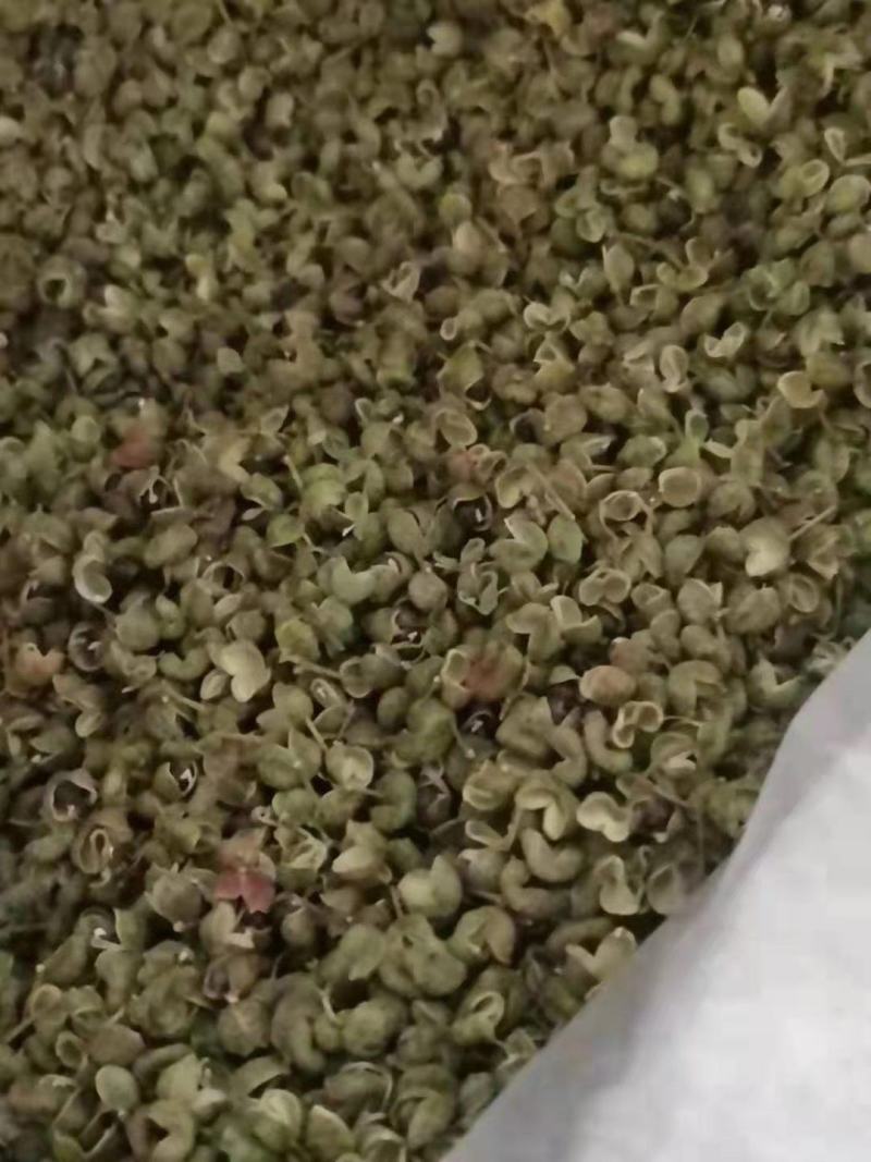 各种档次花椒