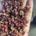 各种档次花椒