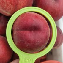 苹果桃翠甜桃产地直发量大价优，欢迎各地老板咨询选购
