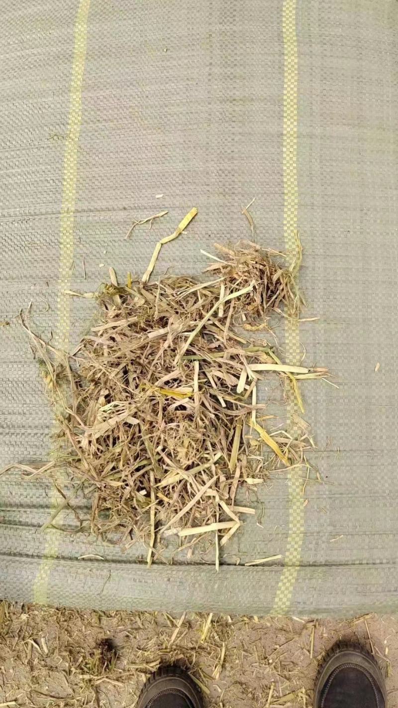 干稻草一手货源诚信合作量大从优欢迎来电咨询