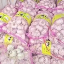 淮阳精品干蒜发市场入库电商货源充足，提供各种包装